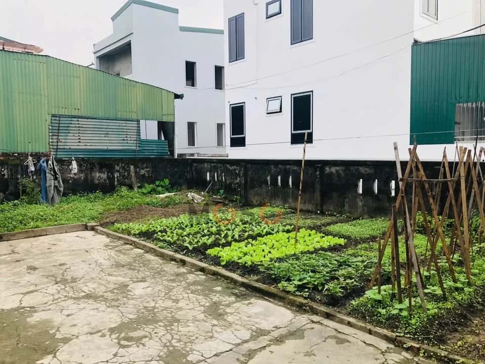 Bán đất Xóm Trung Thuận Thành phố Vinh, Nghệ An – giá 3.5 tỷ Bán đất Xóm Trung Thuận Thành phố Vinh, Nghệ An – giá 3.5 tỷ
