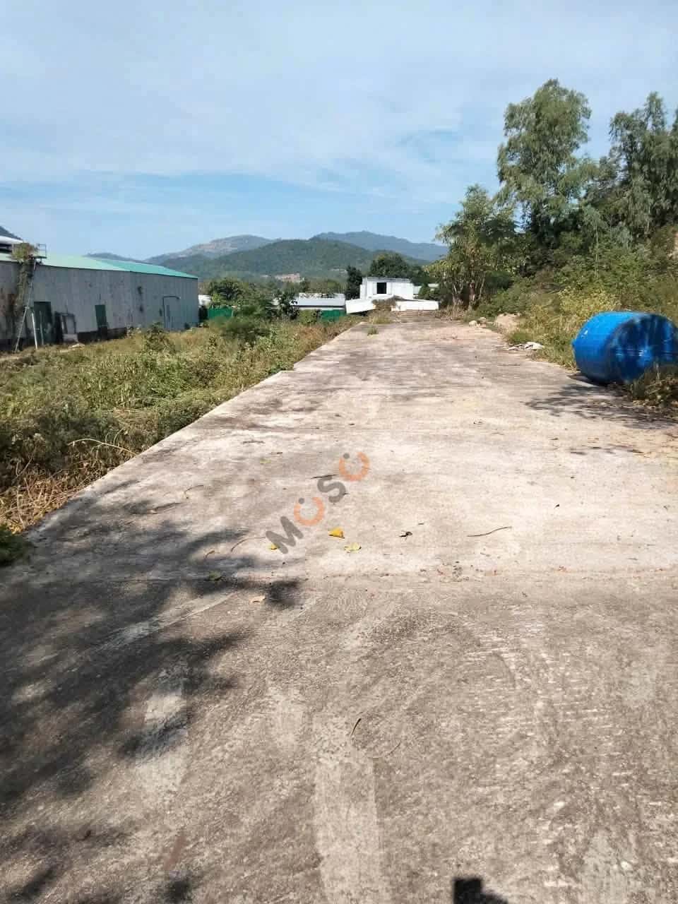 Bán đất hẻm đường Thái Khang, Thôn Phước Hạ Thành phố Nha Trang, Khánh Hòa – giá 1.6 tỷ - ảnh 4