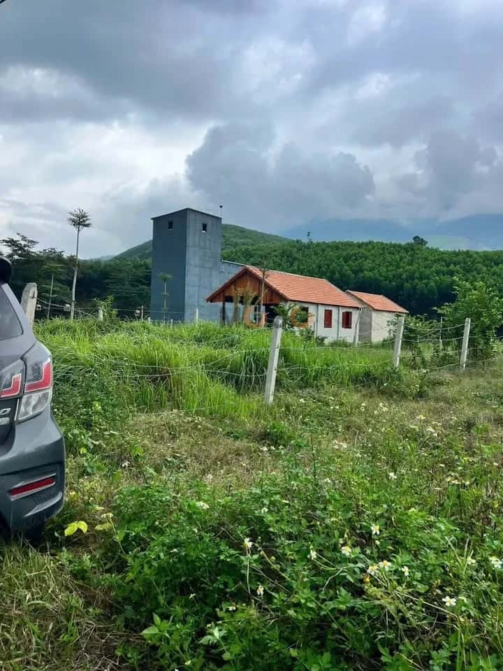 Bán đất thôn Suối Cát Huyện Khánh Vĩnh, Khánh Hòa – giá 350 triệu — Hình 3 Bán đất thôn Suối Cát Huyện Khánh Vĩnh, Khánh Hòa – giá 350 triệu — Hình 3