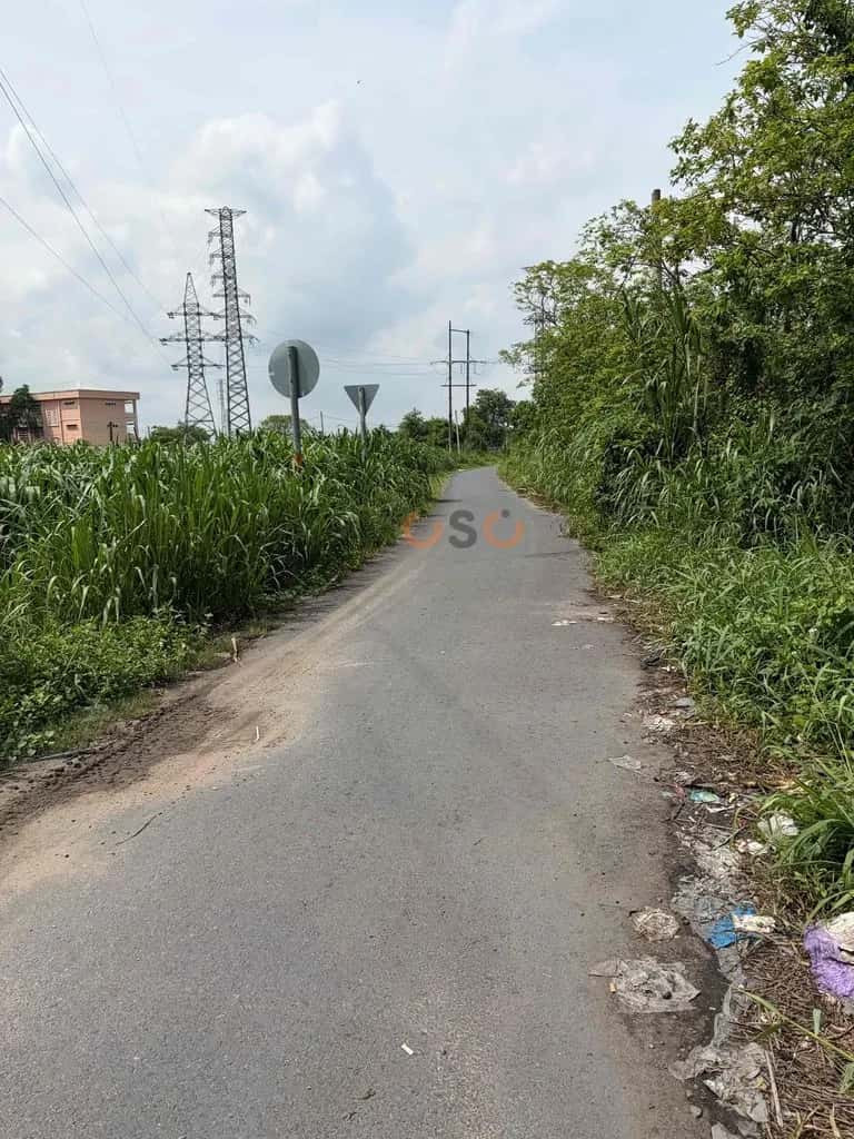 Cho thuê đất Tỉnh lộ 8 Huyện Củ Chi, TP.HCM – giá 9.5 triệu — Hình 2 Cho thuê đất Tỉnh lộ 8 Huyện Củ Chi, TP.HCM – giá 9.5 triệu — Hình 2