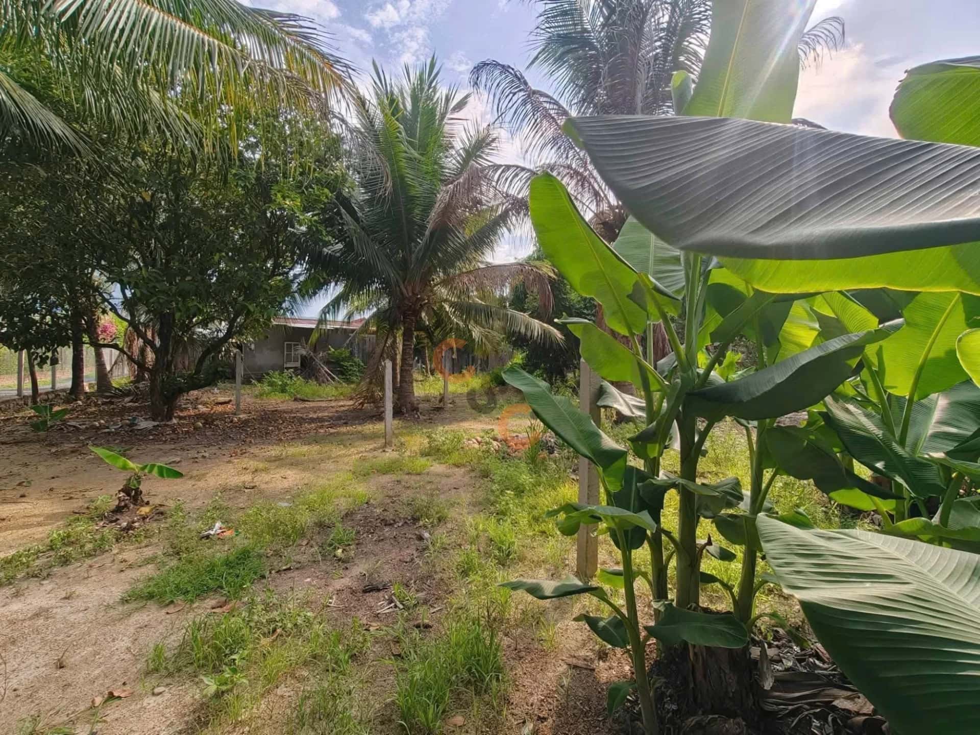 Bán đất Thôn Láng Nhớt Huyện Diên Khánh, Khánh Hòa – giá 499 triệu