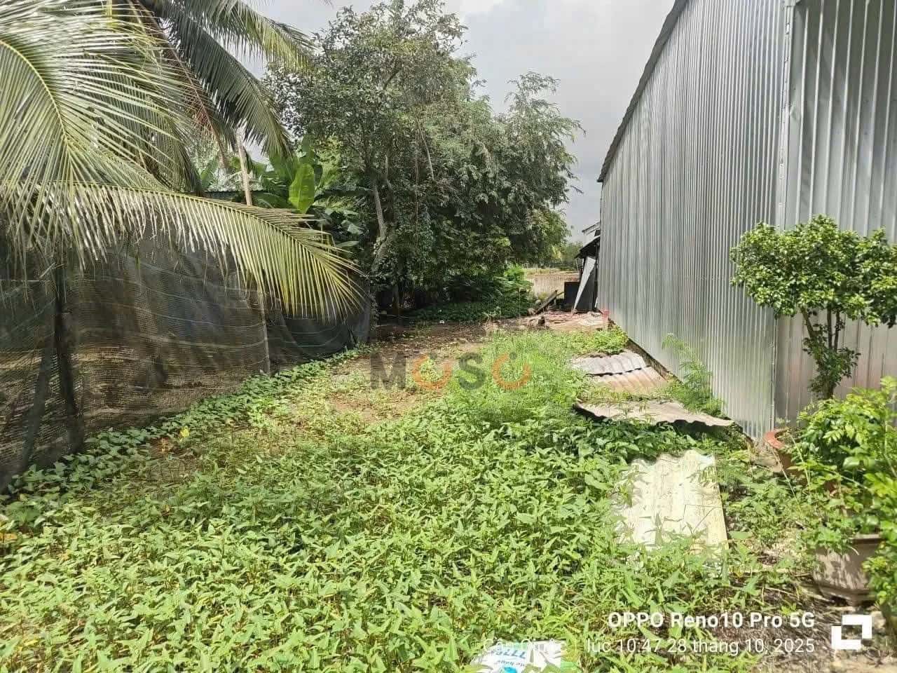 Bán đất Khu phố Hòa Thuận 2 Huyện Cần Giuộc, Long An – giá 750 triệu - ảnh 1