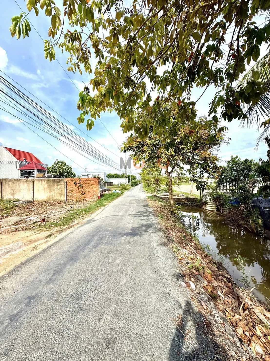 Bán đất Đường Hủ Tíu Huyện Cần Giuộc, Long An – giá 550 triệu - ảnh 4