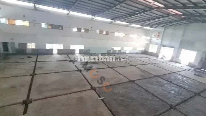 Cho thuê kho, nhà xưởng Nguyễn Văn Tạo Huyện Nhà Bè, TP.HCM – giá 250 triệu — Hình 2