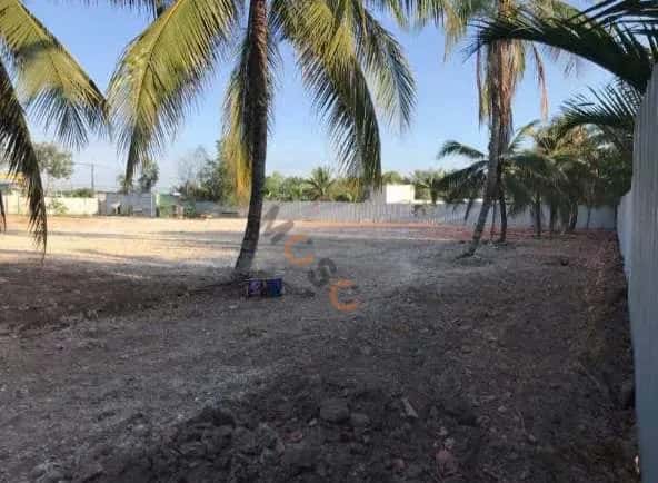 Cho thuê đất Tam Đa Quận 9 cũ, TP. Thủ Đức – giá 120 triệu Cho thuê đất Tam Đa Quận 9 cũ, TP. Thủ Đức – giá 120 triệu