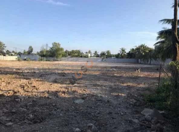 Cho thuê đất Tam Đa Quận 9 cũ, TP. Thủ Đức – giá 120 triệu — Hình 3 Cho thuê đất Tam Đa Quận 9 cũ, TP. Thủ Đức – giá 120 triệu — Hình 3