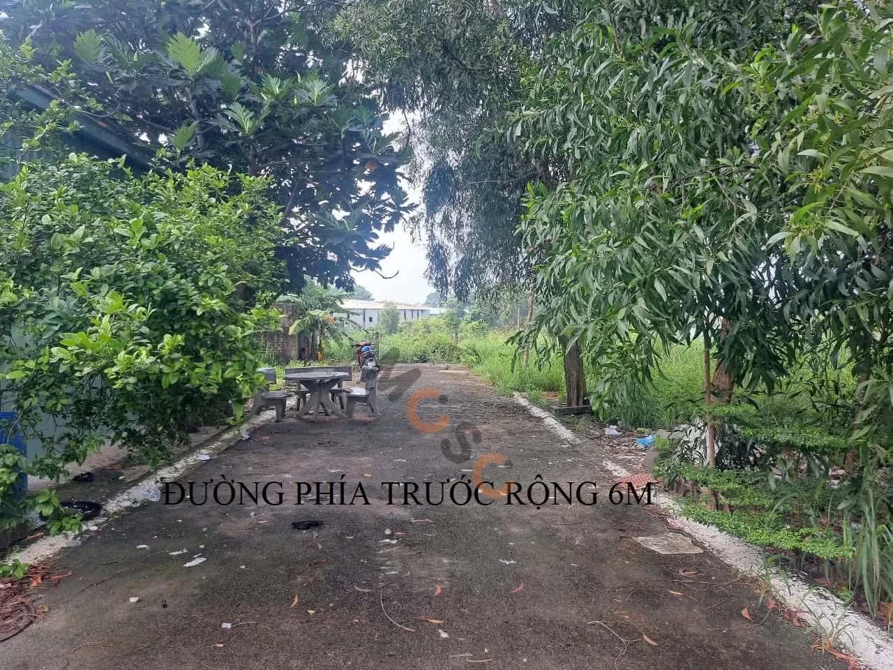 Bán đất hẻm đường Quốc Lộ 13 Thành phố Bến Cát, Bình Dương – giá 1.4 tỷ — Hình 2