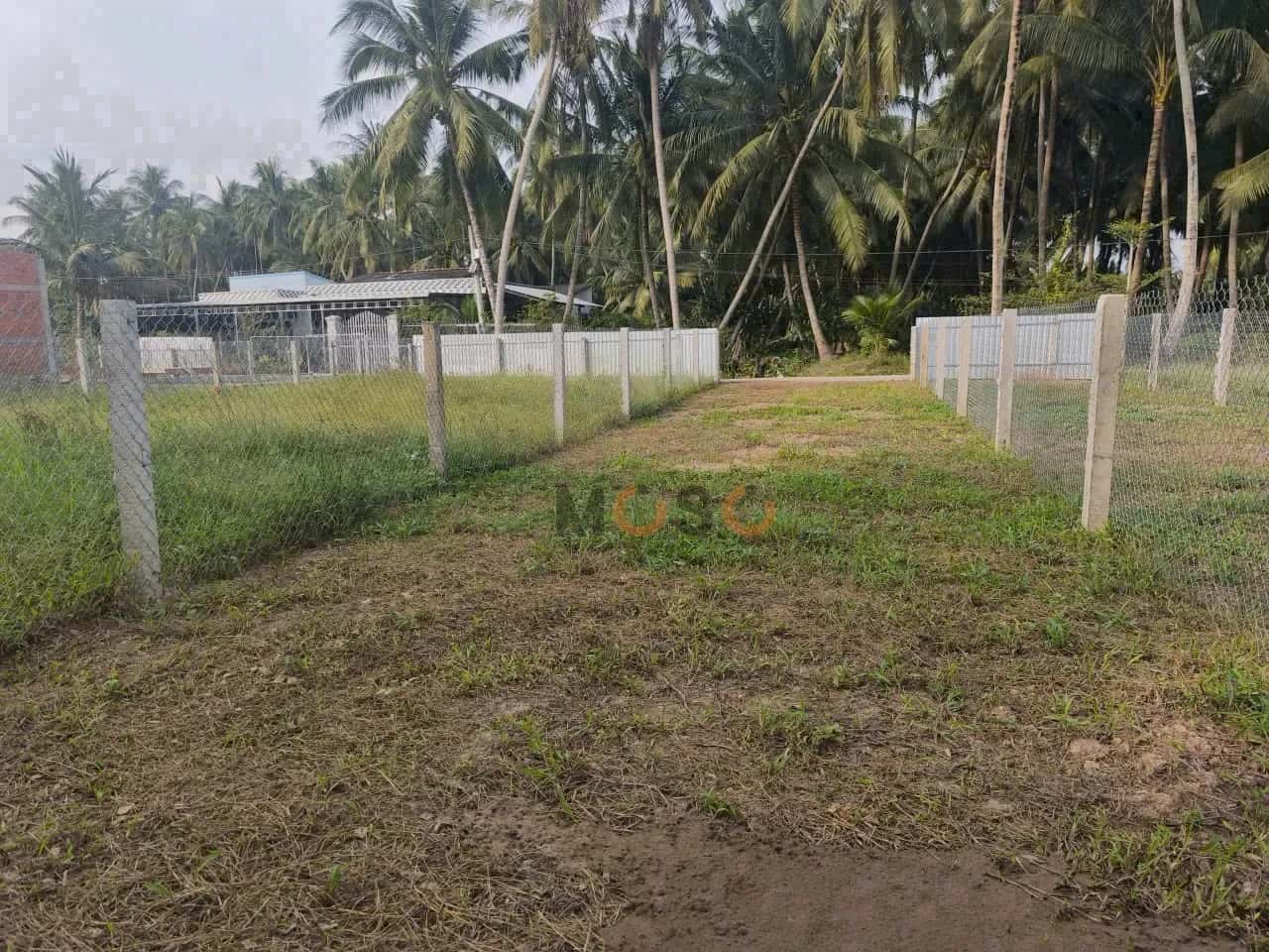Bán đất hẻm đường Mỹ Thạnh, Ấp Long Hòa Huyện Chợ Gạo, Tiền Giang – giá 315 triệu Bán đất hẻm đường Mỹ Thạnh, Ấp Long Hòa Huyện Chợ Gạo, Tiền Giang – giá 315 triệu