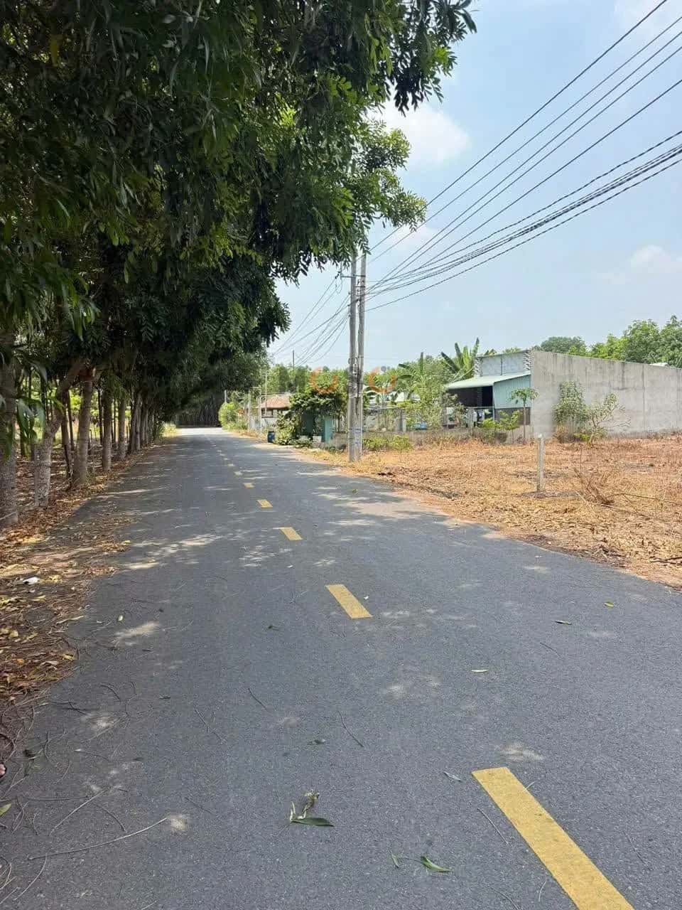 Bán đất Đường Chánh Phú Hòa 067 Thành phố Bến Cát, Bình Dương – giá 1.2 tỷ — Hình 2