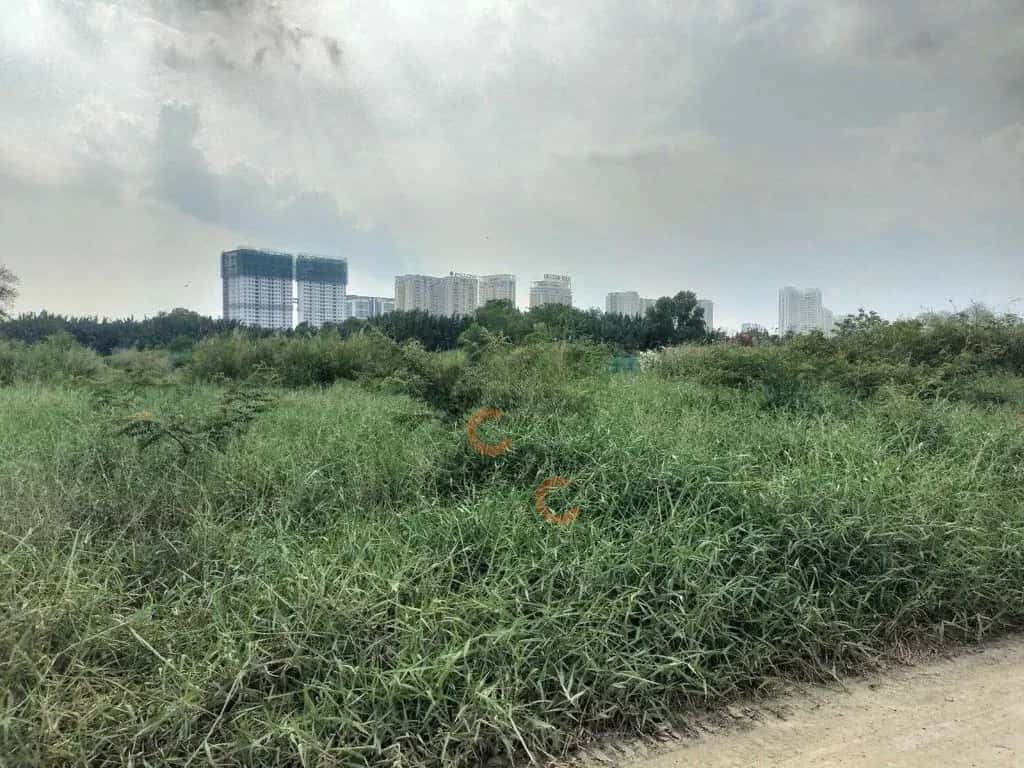 Cho thuê đất Đường Phạm Hữu Lầu Huyện Nhà Bè, TP.HCM – giá 40 triệu Cho thuê đất Đường Phạm Hữu Lầu Huyện Nhà Bè, TP.HCM – giá 40 triệu