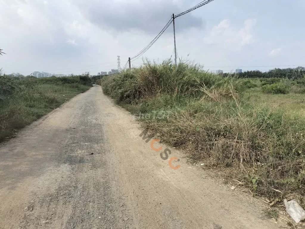 Cho thuê đất Đường Phạm Hữu Lầu Huyện Nhà Bè, TP.HCM – giá 40 triệu — Hình 2 Cho thuê đất Đường Phạm Hữu Lầu Huyện Nhà Bè, TP.HCM – giá 40 triệu — Hình 2