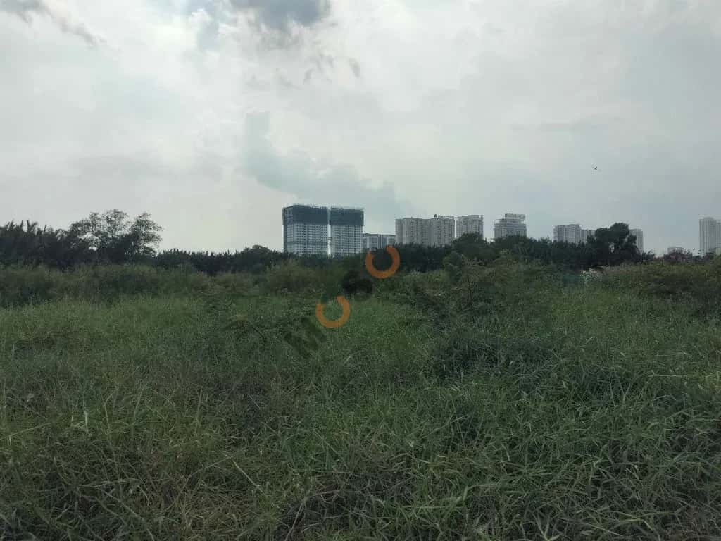 Cho thuê đất Đường Phạm Hữu Lầu Huyện Nhà Bè, TP.HCM – giá 40 triệu — Hình 3 Cho thuê đất Đường Phạm Hữu Lầu Huyện Nhà Bè, TP.HCM – giá 40 triệu — Hình 3
