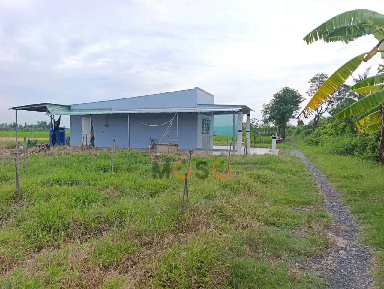 Bán đất Đường Rạch Chú Khá Huyện Gò Công Đông, Tiền Giang – giá 2.9 tỷ