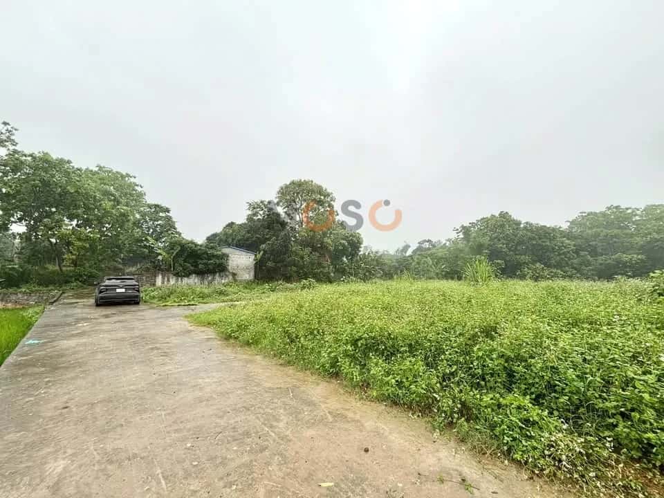 Bán đất Tổ dân phố 15 Thành phố Thái Nguyên, Thái Nguyên – giá 565 triệu Bán đất Tổ dân phố 15 Thành phố Thái Nguyên, Thái Nguyên – giá 565 triệu