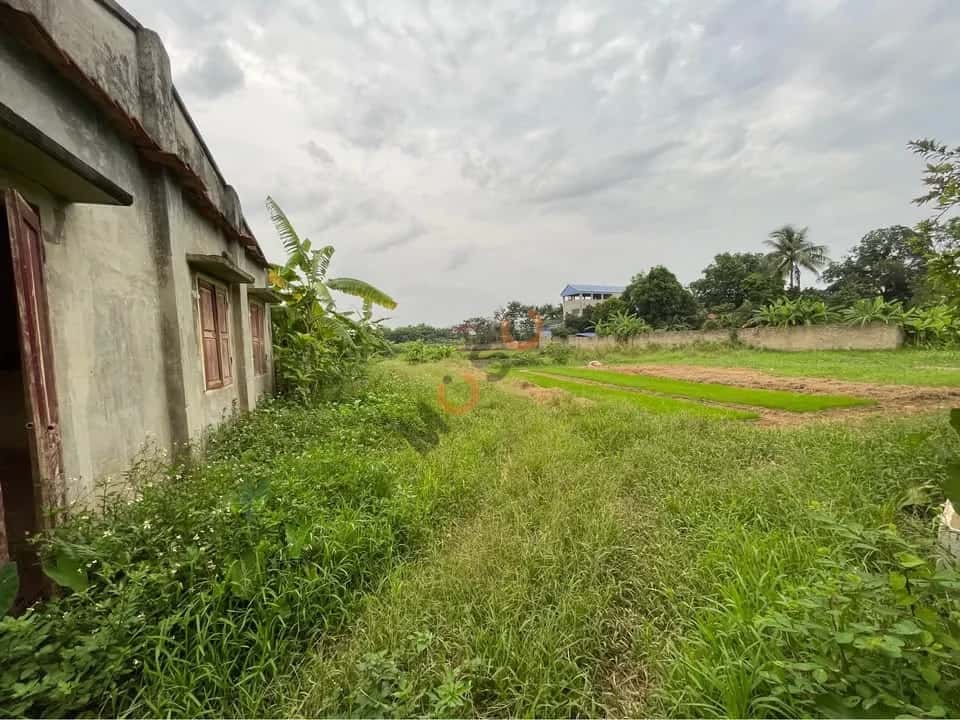 Bán đất Tổ dân phố Tân Thành Thành phố Thái Nguyên, Thái Nguyên – giá 2.6 tỷ