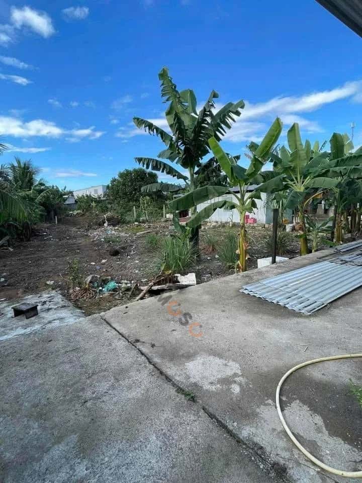 Bán đất Thôn Tây 3 Huyện Diên Khánh, Khánh Hòa – giá 1.1 tỷ - ảnh 3