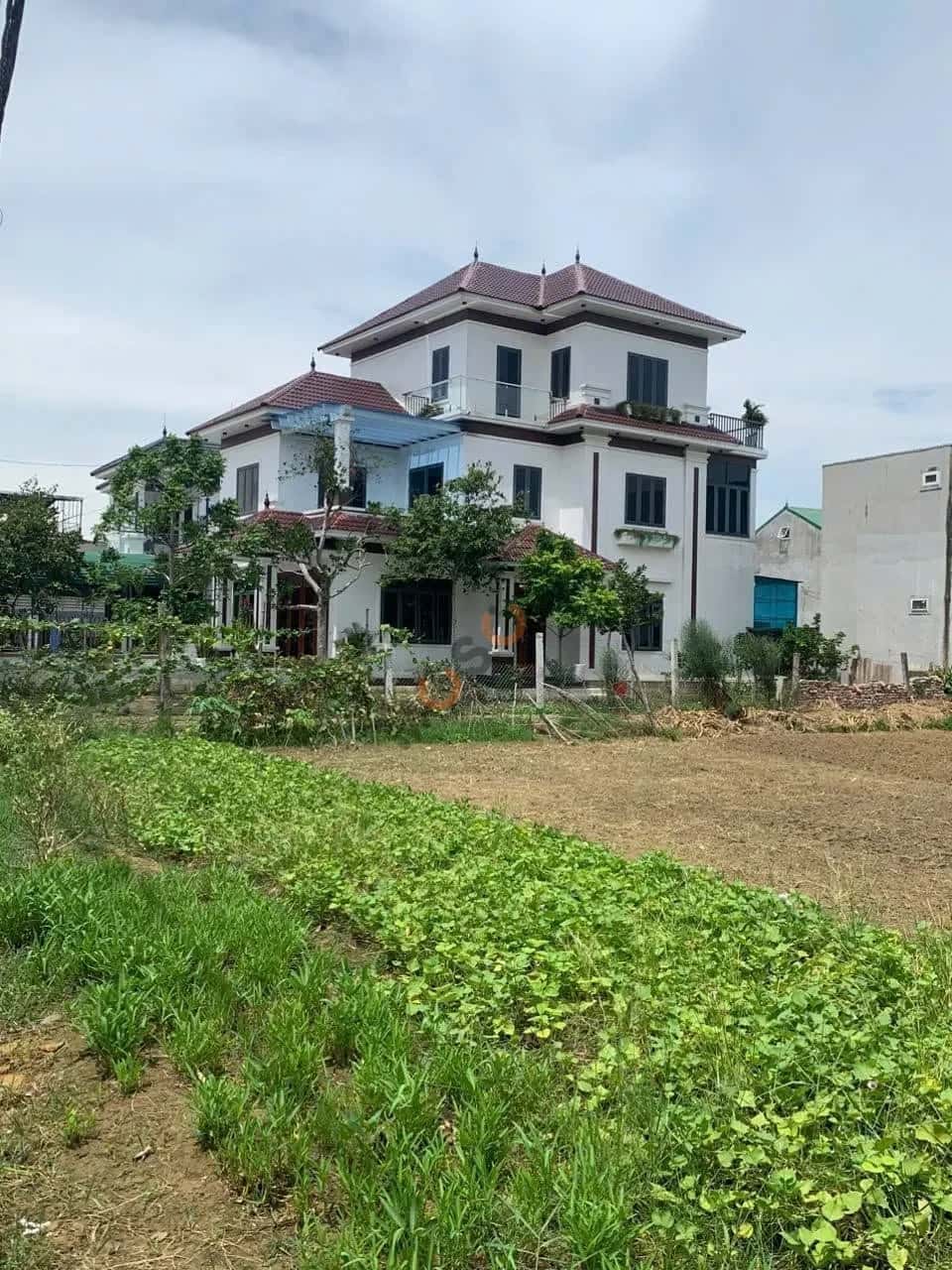 Bán đất Xóm Long Hòa Thành phố Vinh, Nghệ An – giá 3.5 tỷ — Hình 2 Bán đất Xóm Long Hòa Thành phố Vinh, Nghệ An – giá 3.5 tỷ — Hình 2