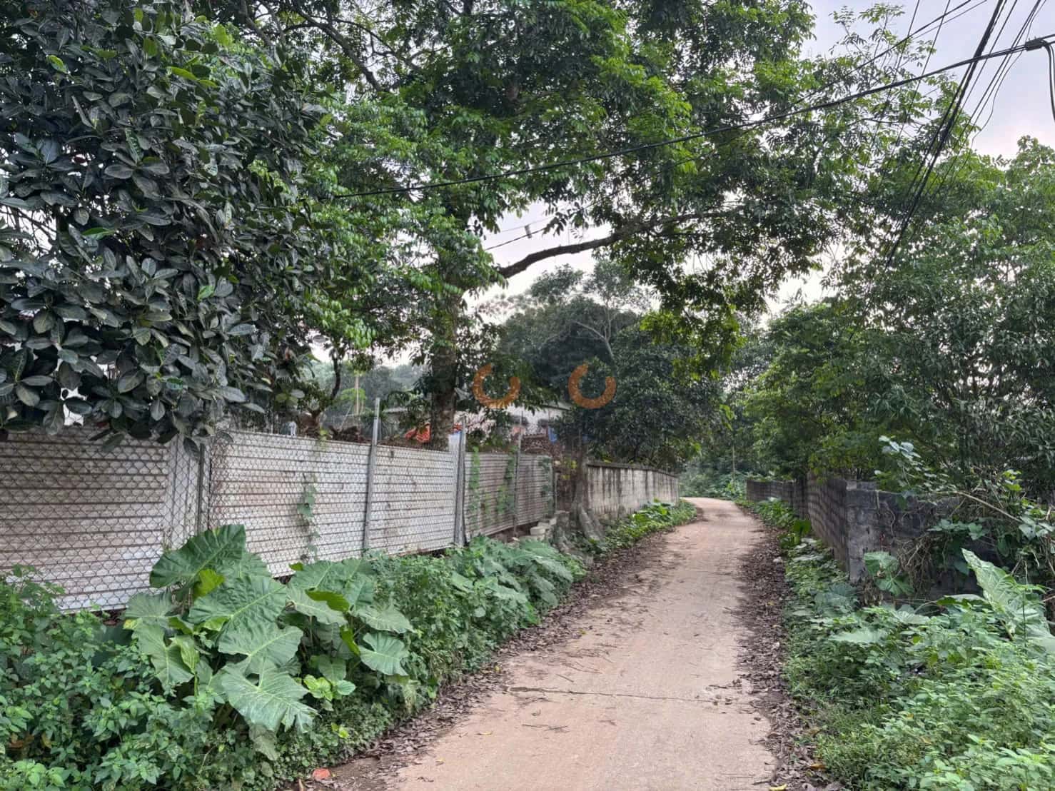Bán đất Thôn Trại Cài Huyện Đồng Hỷ, Thái Nguyên – giá 1.1 tỷ — Hình 3 Bán đất Thôn Trại Cài Huyện Đồng Hỷ, Thái Nguyên – giá 1.1 tỷ — Hình 3