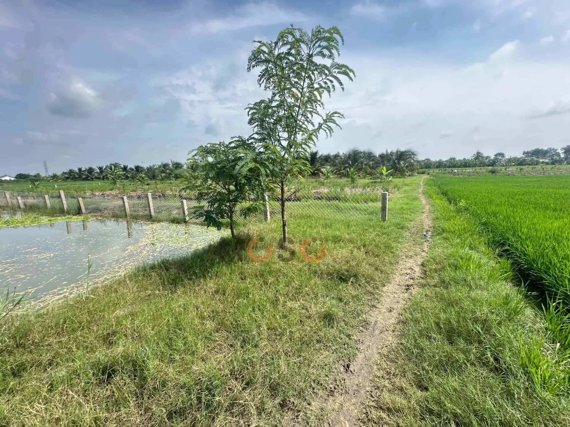 Bán đất khu phố Long Phước Thành phố Gò Công, Tiền Giang – giá 870 triệu — Hình 2 Bán đất khu phố Long Phước Thành phố Gò Công, Tiền Giang – giá 870 triệu — Hình 2