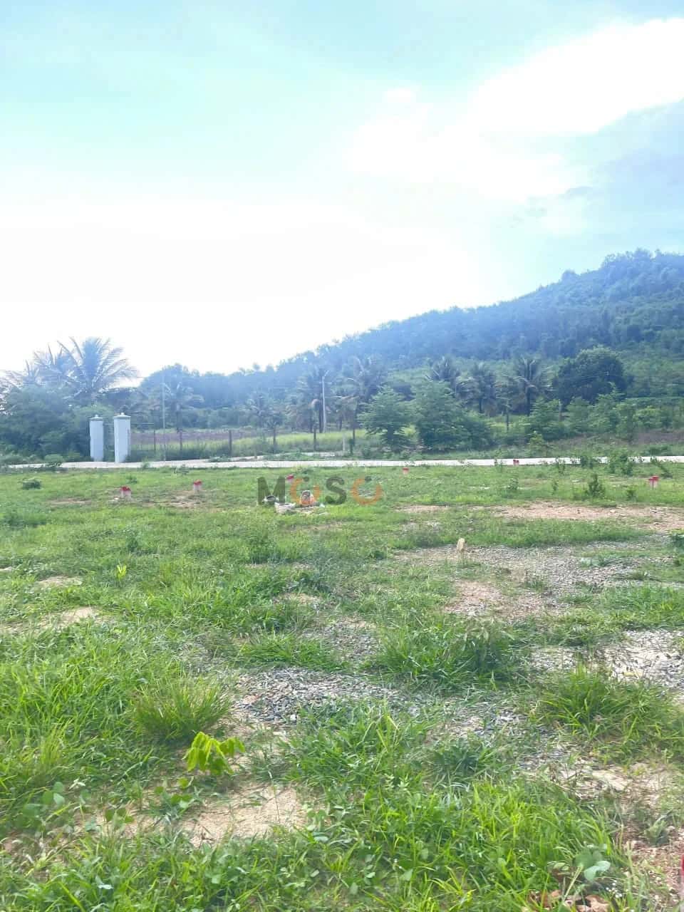 Bán đất Tỉnh Lộ 2, Thôn Cẩm Sơn Huyện Diên Khánh, Khánh Hòa – giá 379 triệu — Hình 3 Bán đất Tỉnh Lộ 2, Thôn Cẩm Sơn Huyện Diên Khánh, Khánh Hòa – giá 379 triệu — Hình 3