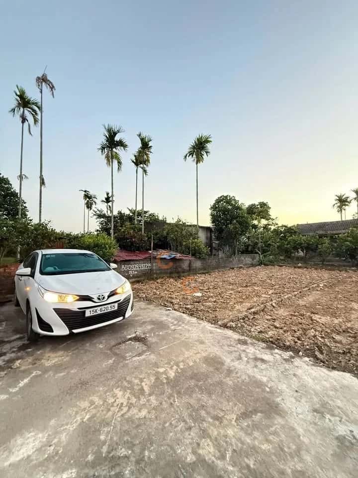 Bán đất thôn Kiều Hạ 2 Quận An Dương, TP. Hải Phòng – giá 999 triệu Bán đất thôn Kiều Hạ 2 Quận An Dương, TP. Hải Phòng – giá 999 triệu