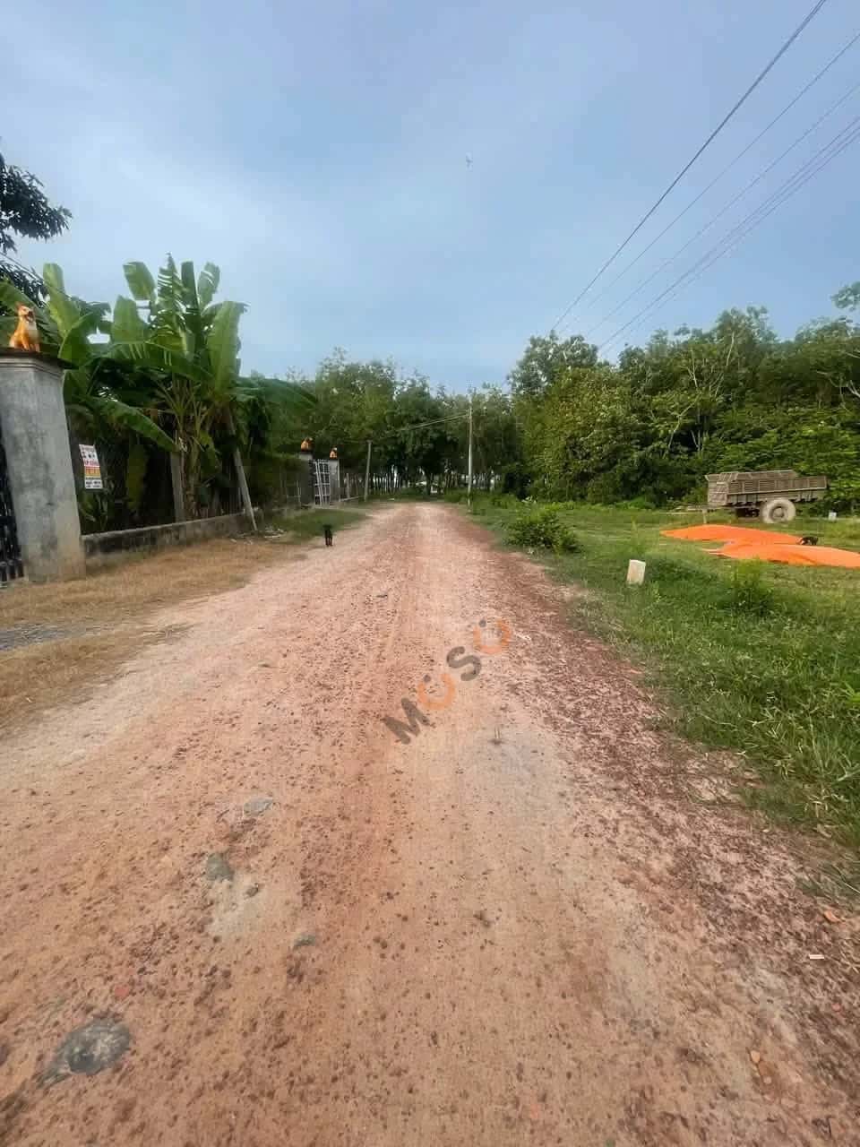 Bán đất Ấp Bình Lương Huyện Châu Thành, Tây Ninh – giá 210 triệu — Hình 3