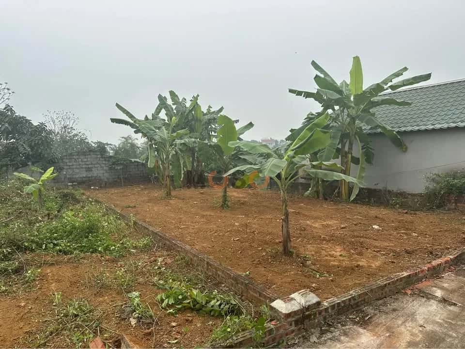 Bán đất Đội 2, thôn Việt Yên Huyện Quốc Oai, TP. Hà Nội – giá 1.7 tỷ — Hình 3