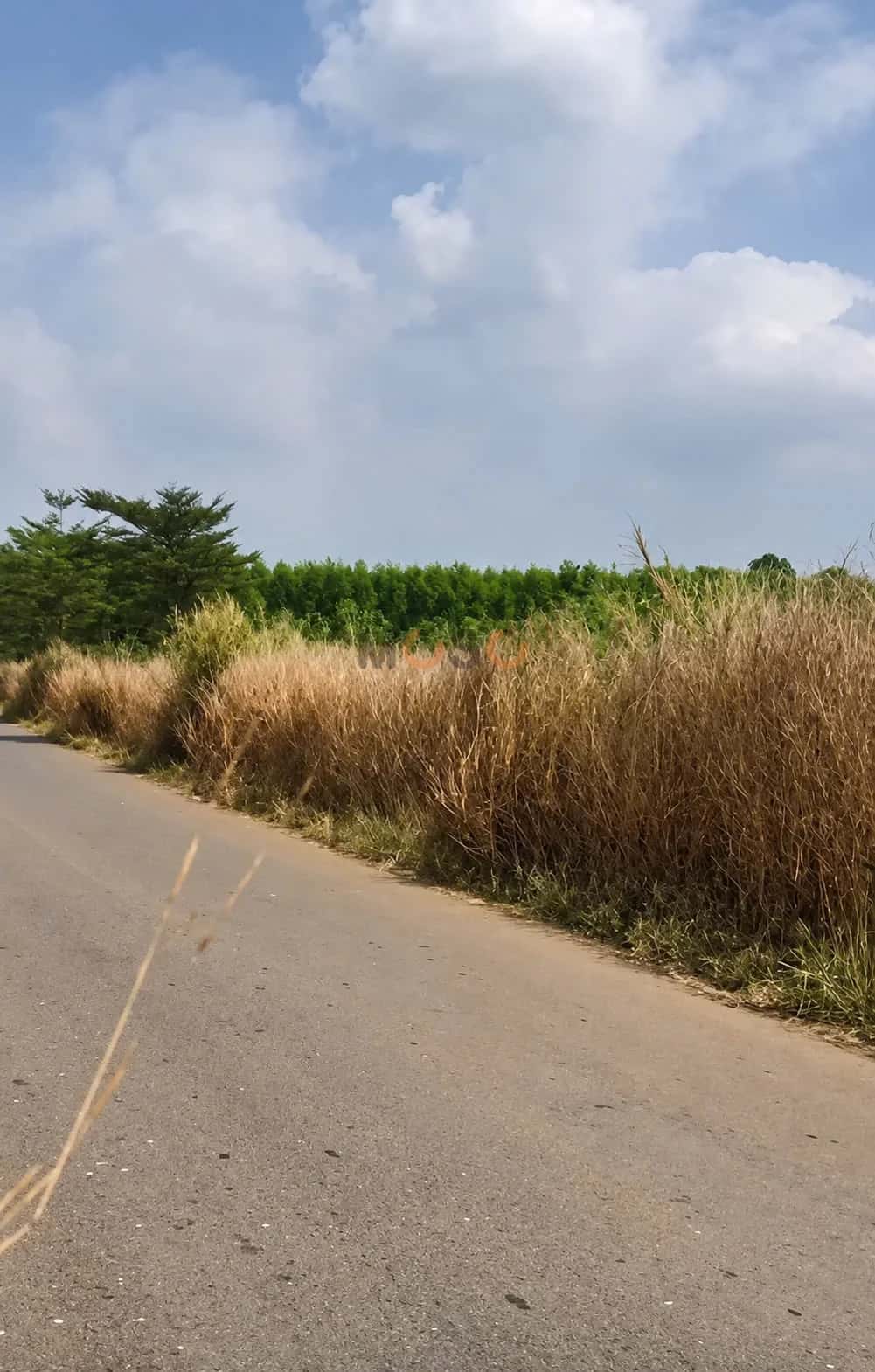 Bán đất Hưng Bình 1 Huyện Trảng Bom, Đồng Nai – giá 2 tỷ — Hình 2