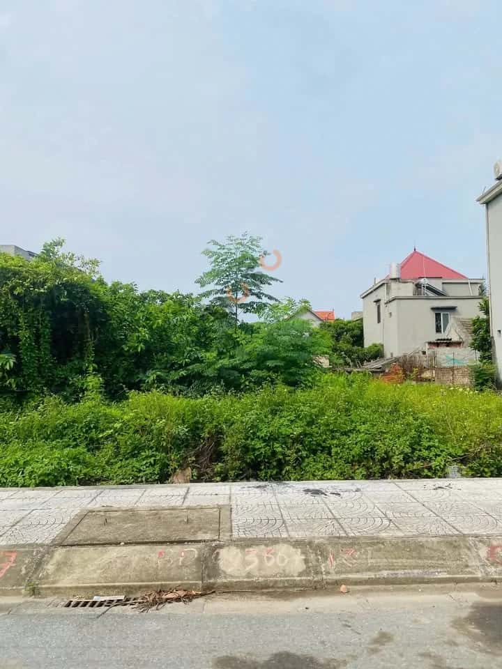 Bán đất Ngõ 81, TDP Tân Hợp Quận Dương Kinh, TP. Hải Phòng – giá 1.9 tỷ Bán đất Ngõ 81, TDP Tân Hợp Quận Dương Kinh, TP. Hải Phòng – giá 1.9 tỷ