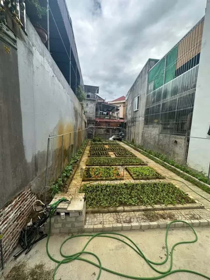 Bán đất Nguyễn Thị Minh Khai Thành phố Vinh, Nghệ An – giá 5.3 tỷ — Hình 2