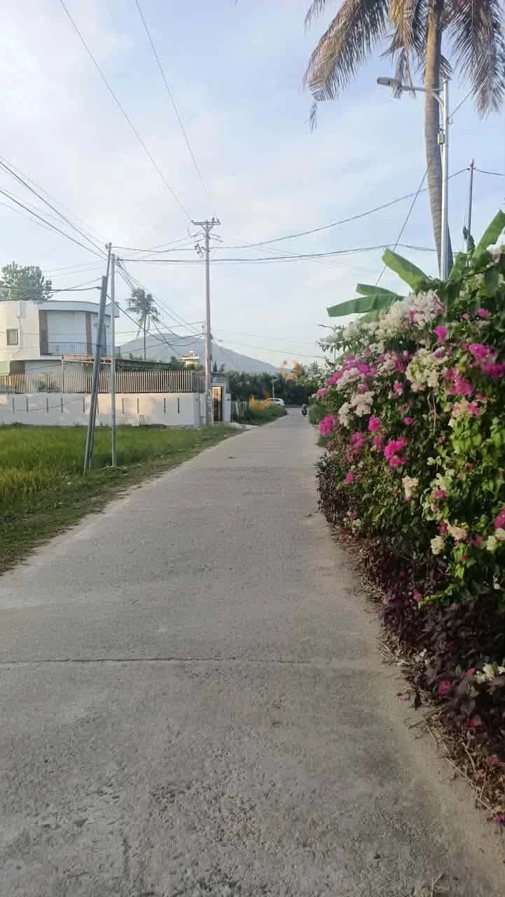 Bán đất Cây Duối, thôn Phú Ân Nam 2 Huyện Diên Khánh, Khánh Hòa – giá 1.5 tỷ - ảnh 2