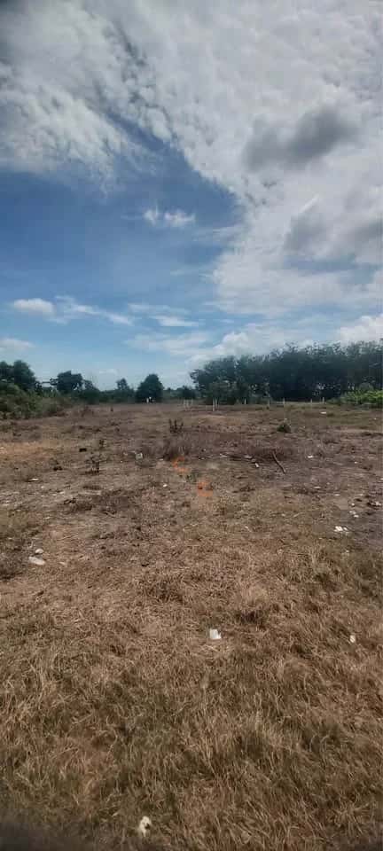 Bán đất ấp Bến Cừ Huyện Châu Thành, Tây Ninh – giá 250 triệu