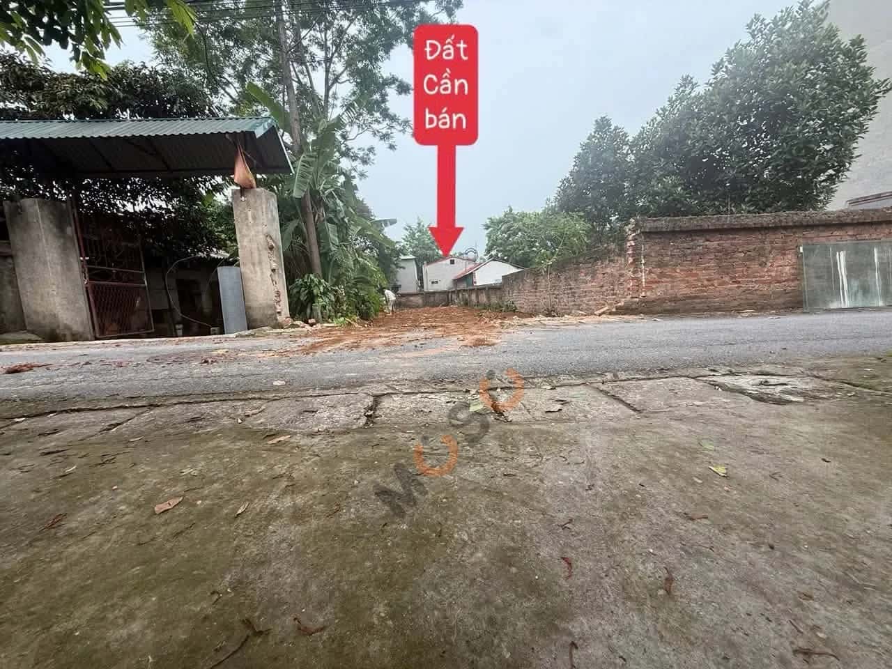 Bán đất TDP Đông Nghĩa Thành phố Vĩnh Yên, Vĩnh Phúc – giá 1.9 tỷ - ảnh 1