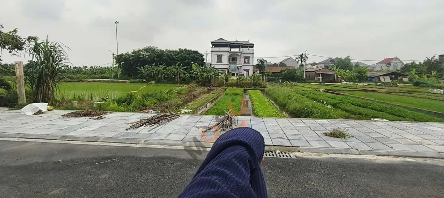 Bán đất Đình Trung Huyện Đông Anh, TP. Hà Nội – giá 7.5 tỷ - ảnh 1