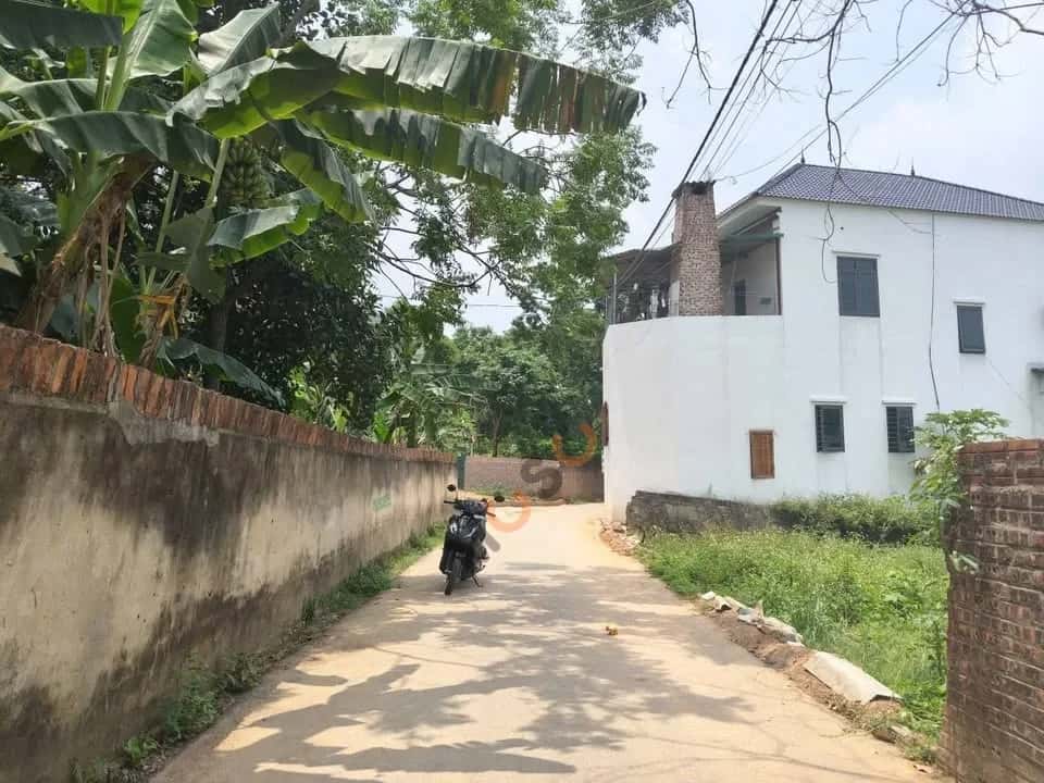 Bán đất Thôn Quan Nội Huyện Tam Đảo, Vĩnh Phúc – giá 799 triệu — Hình 2