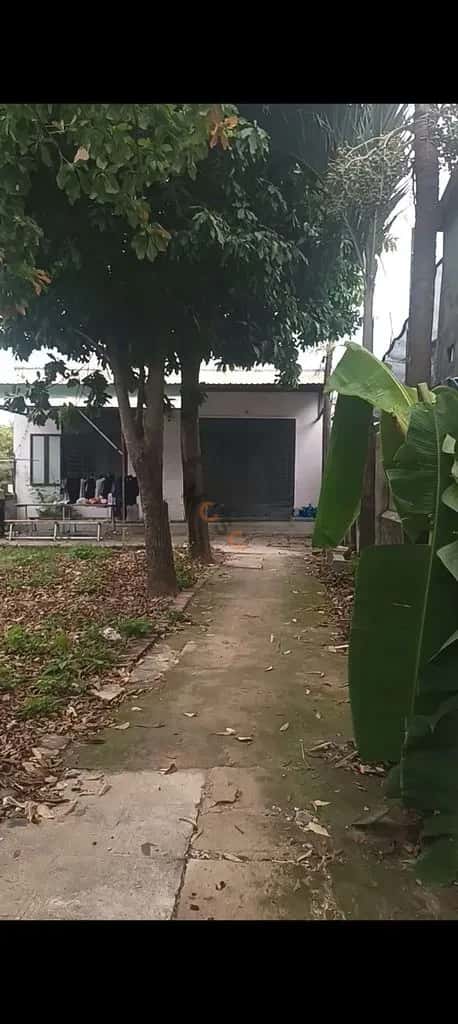Cho thuê nhà hẻm Long Phước Quận 9 cũ, TP. Thủ Đức – 1 phòng ngủ, giá 7 triệu — Hình 3