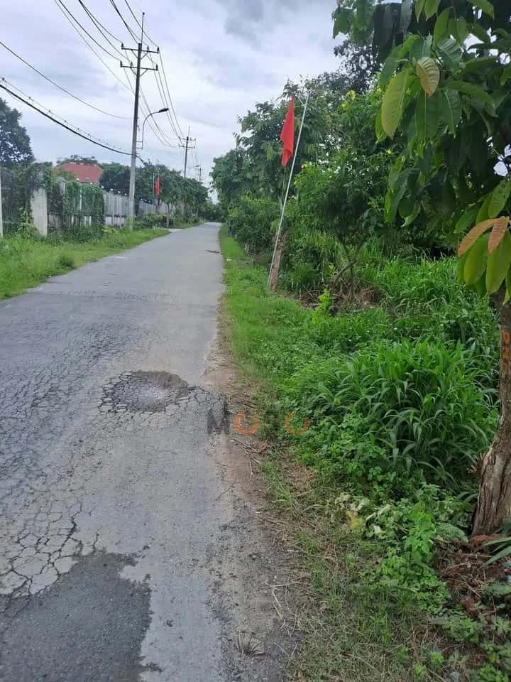 Bán đất đường số 63, ấp Chợ Huyện Củ Chi, TP.HCM – giá 12 tỷ - ảnh 4