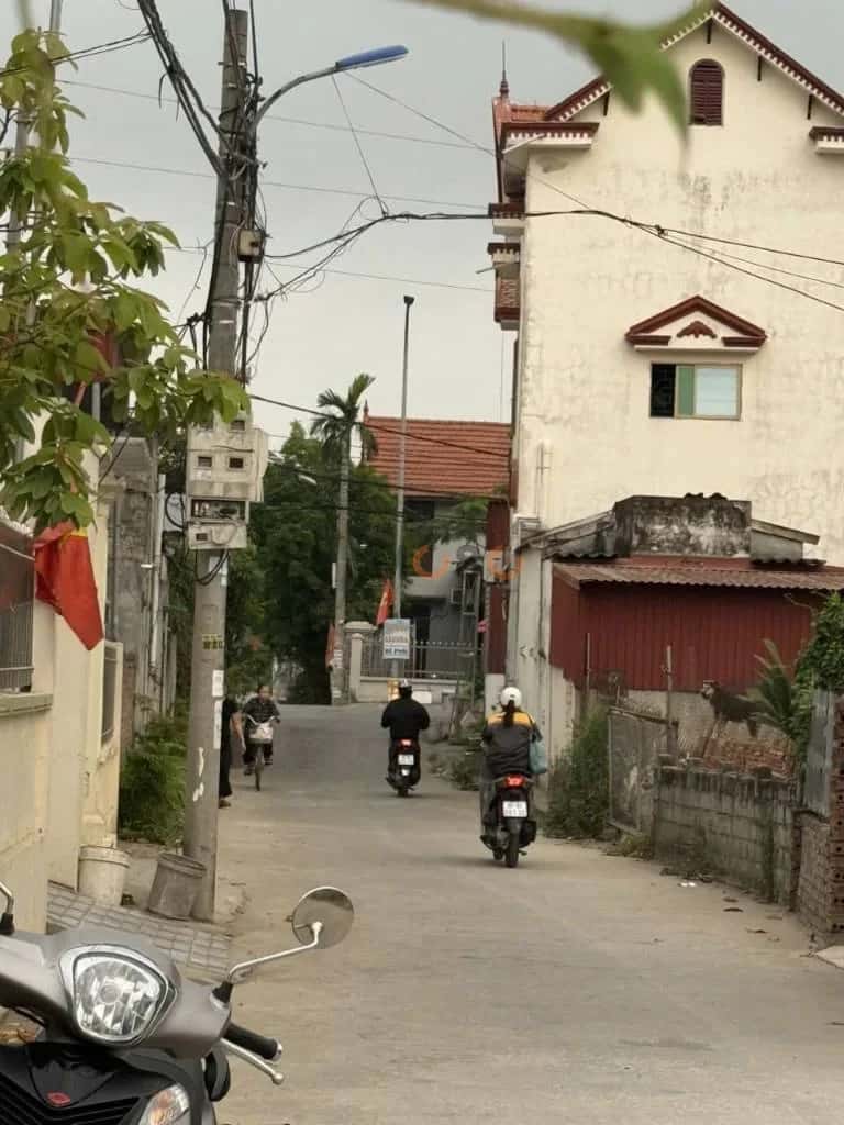 Bán đất Tổ dân phố Quang Trung, đường Thượng Đức  Quận Đồ Sơn, TP. Hải Phòng – giá 1.6 tỷ — Hình 3