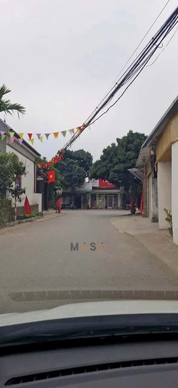 Bán đất TDP Bảo Phác Huyện Tam Đảo, Vĩnh Phúc – giá 2 tỷ — Hình 3