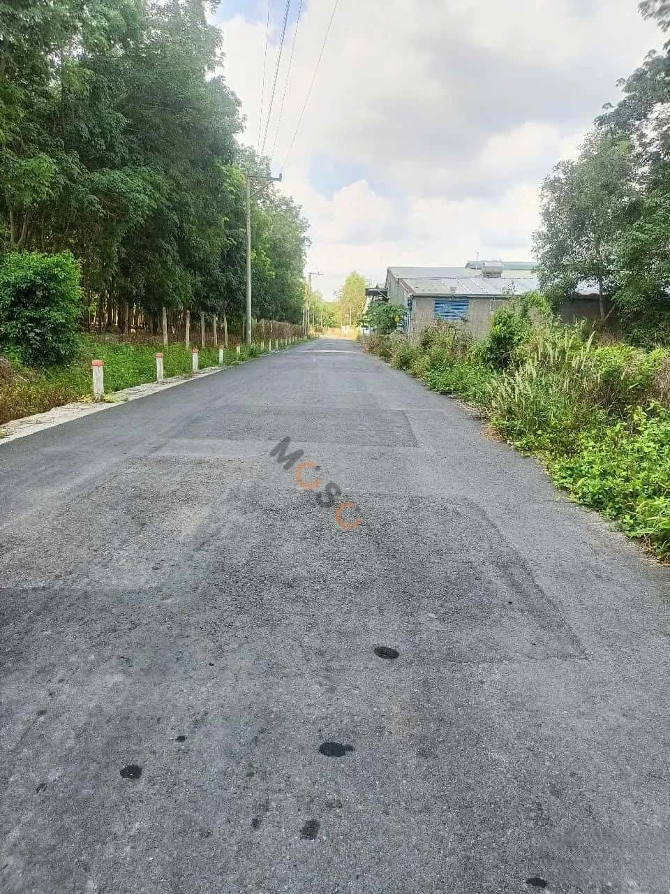 Bán đất đường số 8 Huyện Dầu Tiếng, Bình Dương – giá 8 tỷ - ảnh 5