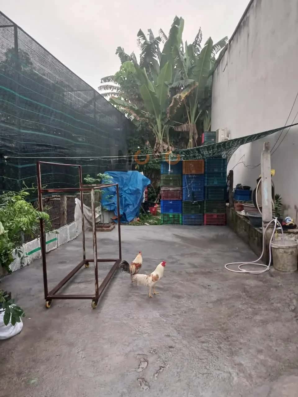 Bán nhà hẻm  Đỗ Thị Xích Huyện Củ Chi, TP.HCM – 2 phòng ngủ, giá 900 triệu - ảnh 4