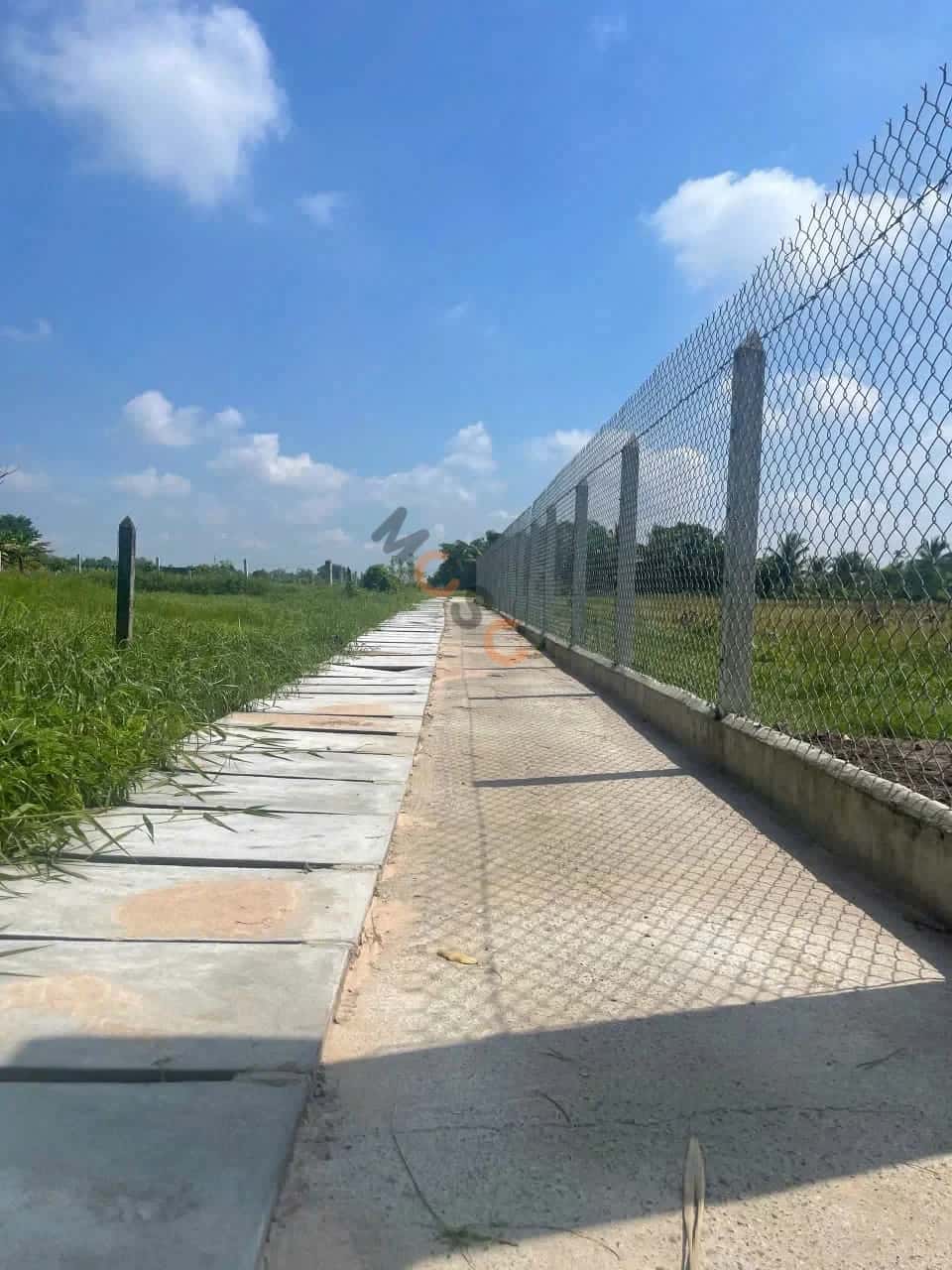 Bán đất ấp Mỹ Thạnh B Huyện Củ Chi, TP.HCM – giá 1.4 tỷ — Hình 2