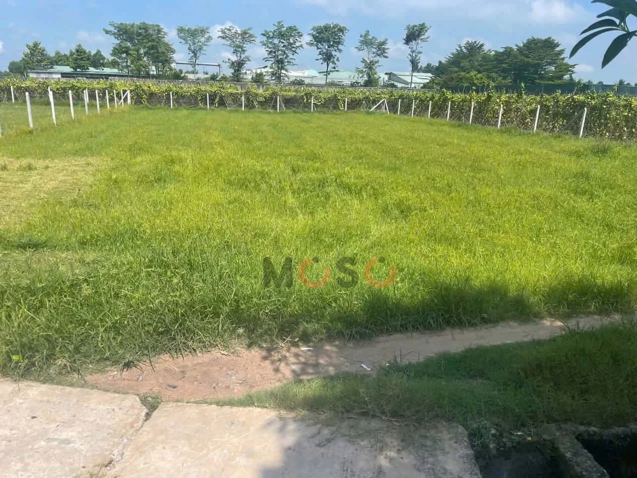 Bán đất ấp Mỹ Thạnh B Huyện Củ Chi, TP.HCM – giá 1.4 tỷ