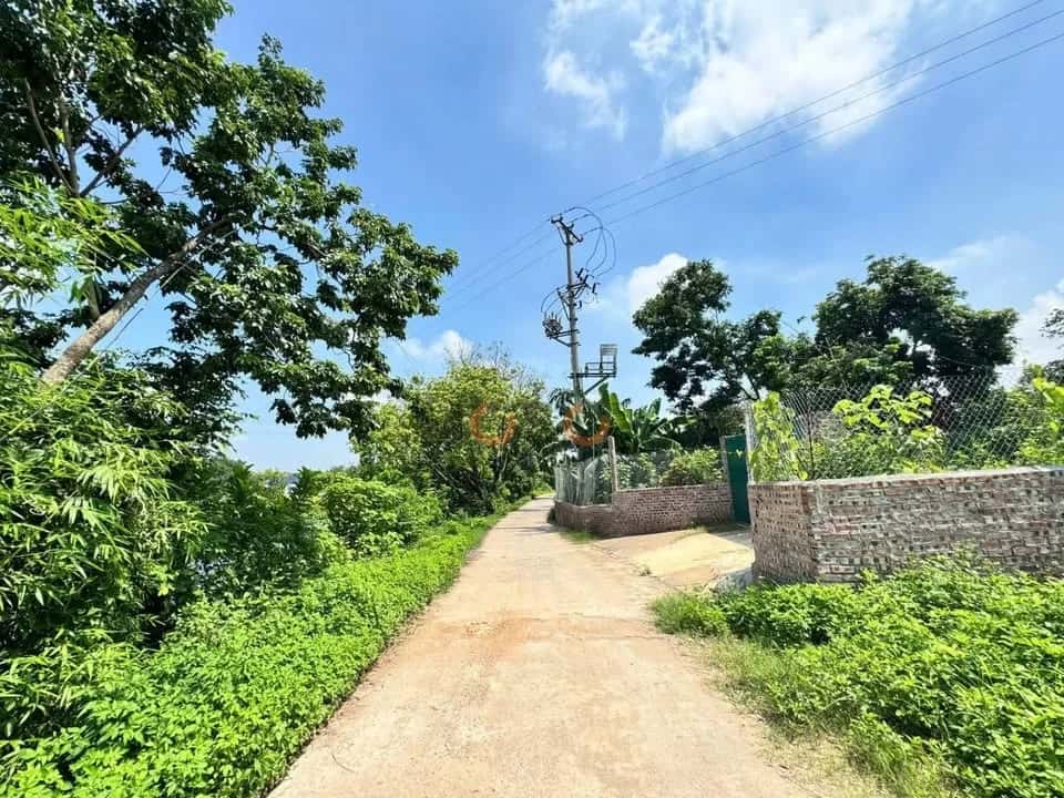 Bán đất Thôn Đồng Bông Huyện Tam Dương, Vĩnh Phúc – giá 1.9 tỷ — Hình 3