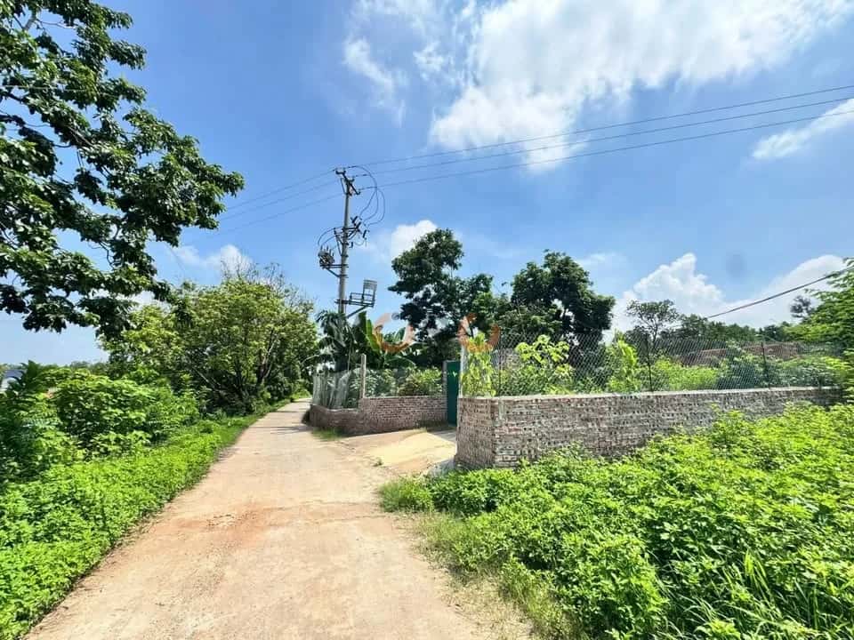 Bán đất Thôn Đồng Bông Huyện Tam Dương, Vĩnh Phúc – giá 1.9 tỷ — Hình 2