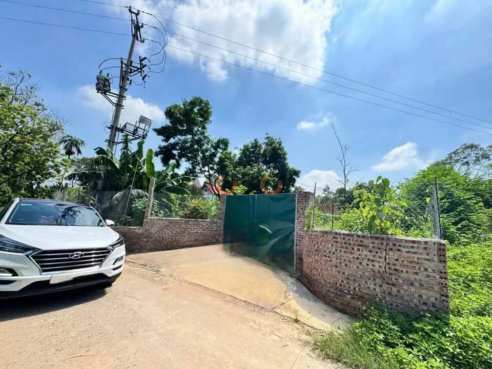 Bán đất Thôn Đồng Bông Huyện Tam Dương, Vĩnh Phúc – giá 1.9 tỷ