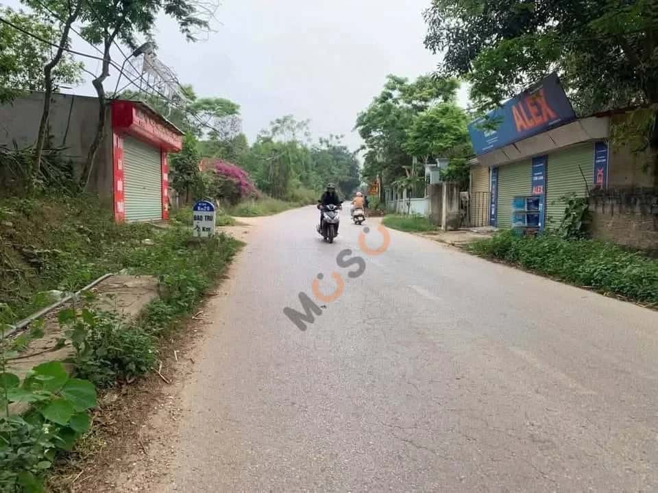 Bán đất TL302, Lục Liễu Huyện Tam Đảo, Vĩnh Phúc – giá 1.2 tỷ — Hình 3 Bán đất TL302, Lục Liễu Huyện Tam Đảo, Vĩnh Phúc – giá 1.2 tỷ — Hình 3