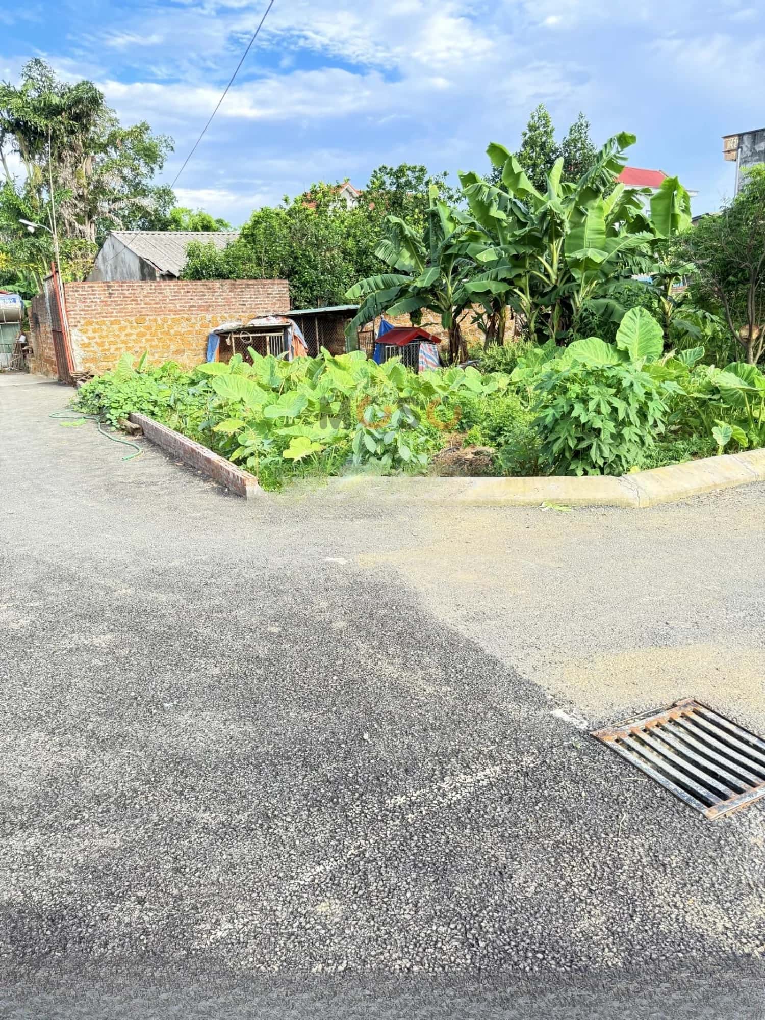 Bán đất đường DH09 Huyện Quốc Oai, TP. Hà Nội – giá 3.7 tỷ Bán đất đường DH09 Huyện Quốc Oai, TP. Hà Nội – giá 3.7 tỷ