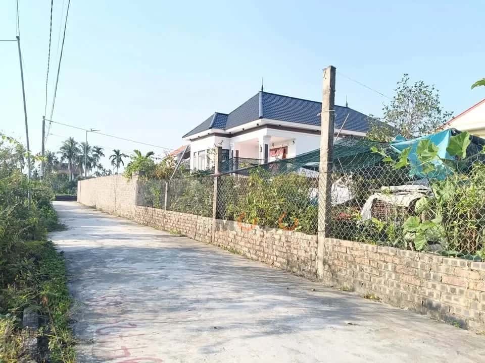 Bán đất Thôn Kiều Trung Quận An Dương, TP. Hải Phòng – giá 1.3 tỷ — Hình 3 Bán đất Thôn Kiều Trung Quận An Dương, TP. Hải Phòng – giá 1.3 tỷ — Hình 3