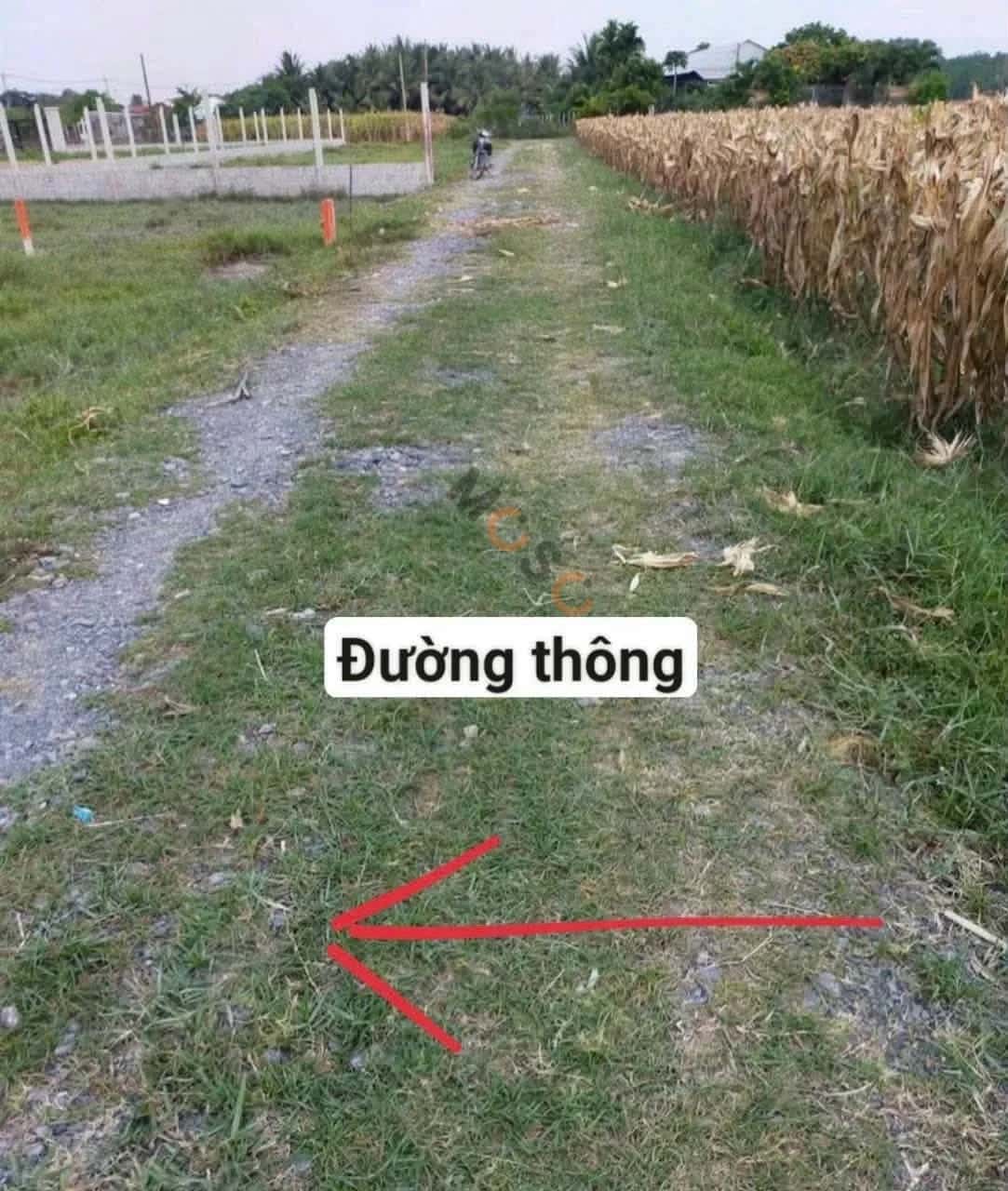 Bán đất Tỉnh Lộ 2 Huyện Củ Chi, TP.HCM – giá 1.8 tỷ - ảnh 4